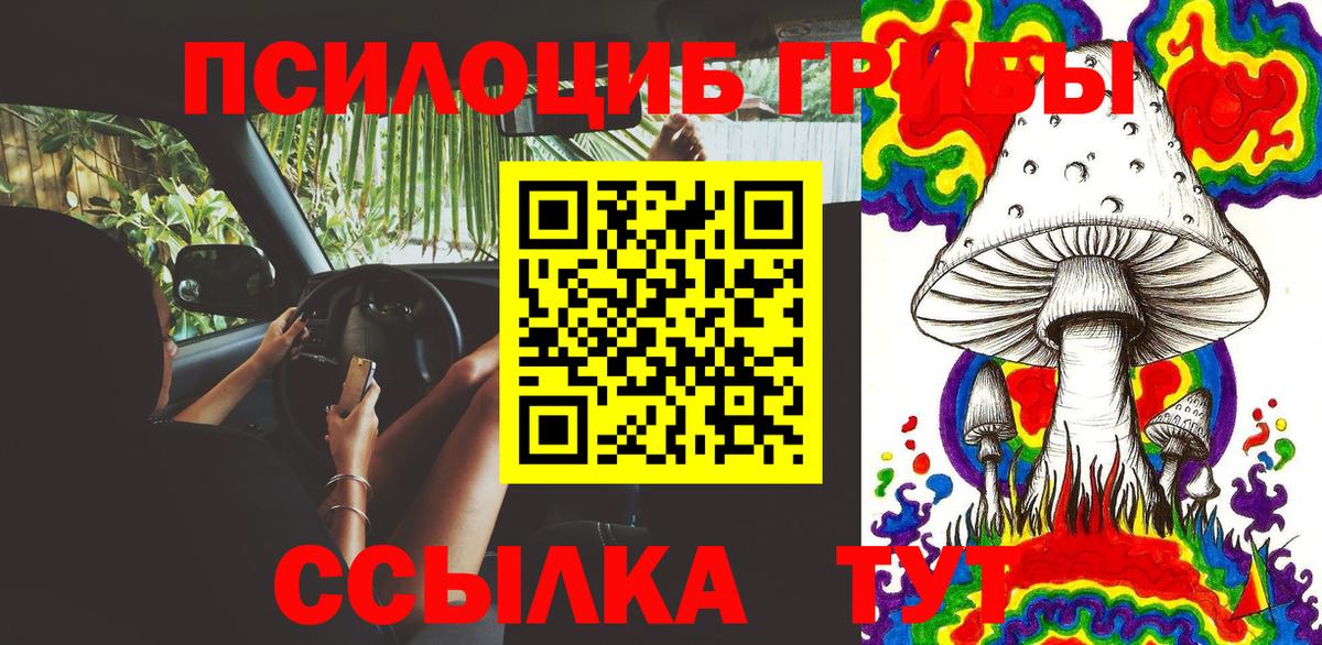 Галлюциногенные грибы мухоморы Новокубанск