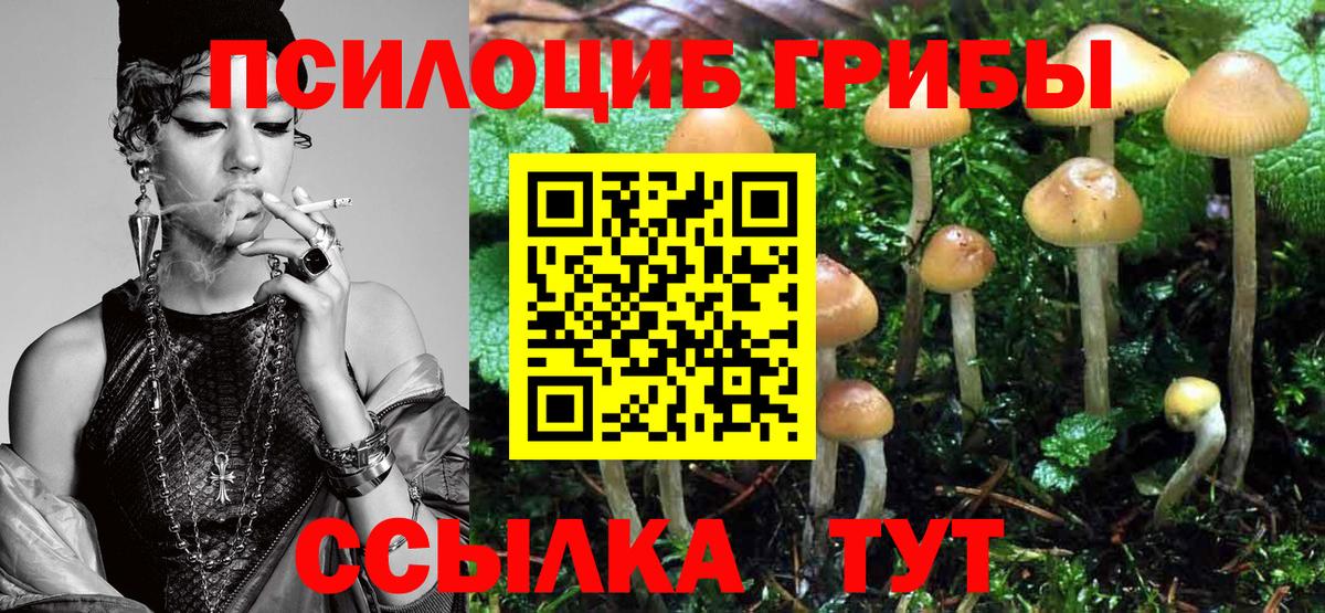 Новокубанск  Псилоцибиновые грибы MAGIC MUSHROOMS  Псилоцибиновые грибы Psilocybine cubensis  Вход с VPN 