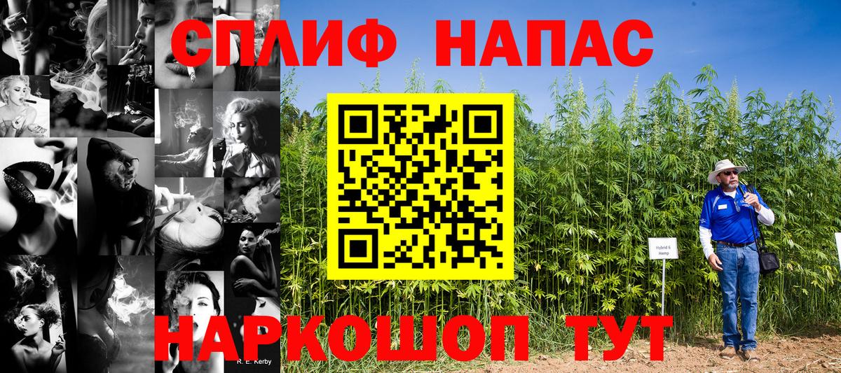 Новокубанск  Марихуана тримм  Вход с VPN  Шишки марихуана планчик 